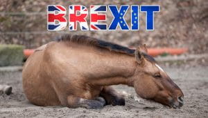 Brexit Sign Coloured as the UK and EU Flags Over a Lying Horse 