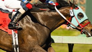 A Horse and a Jockey Duo Racing at Sports Betting Event in Australia 